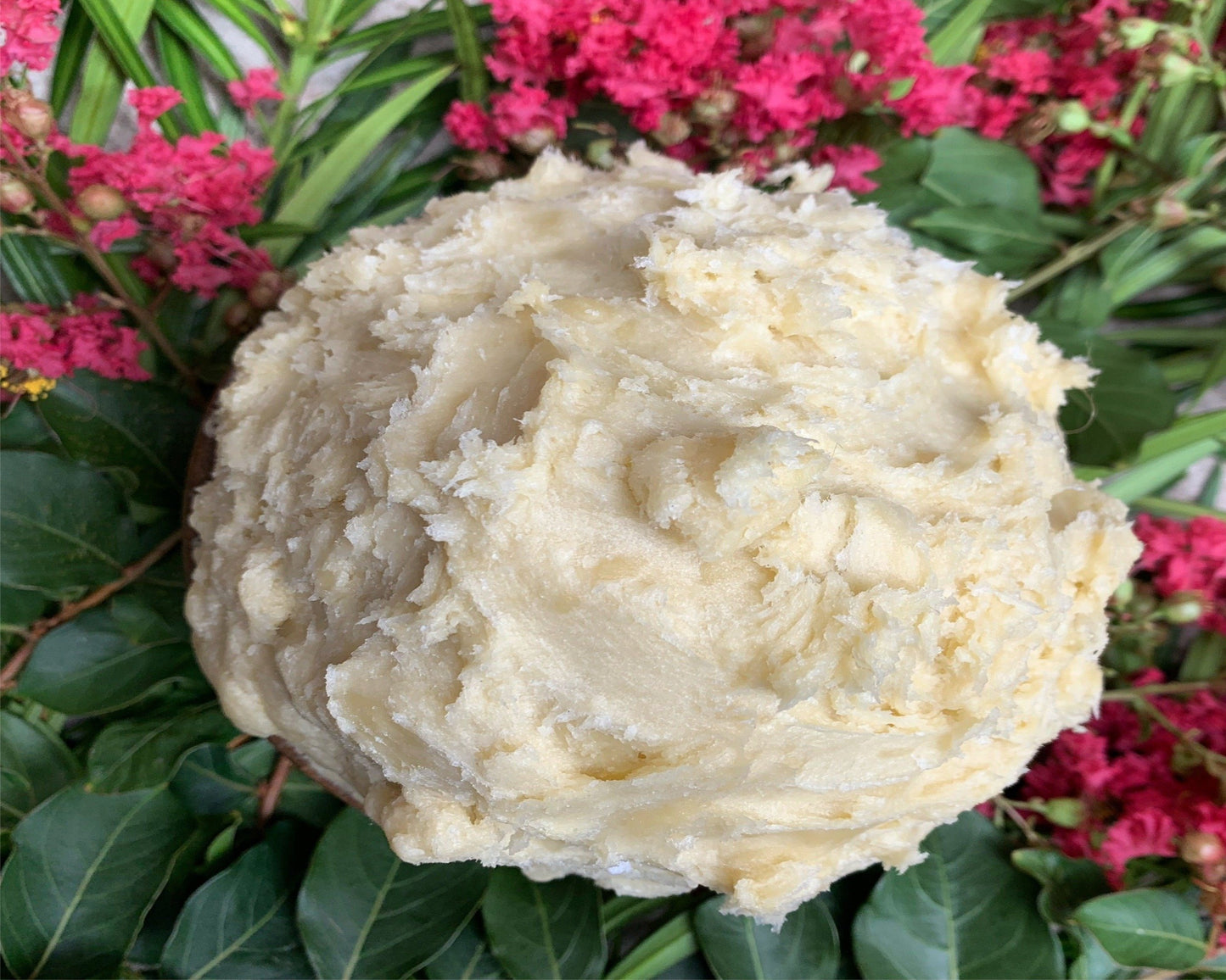 Bulk Organic Nilotica Shea Butter