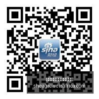 巴西足球传,奇再放光芒,乙级联赛,十大世界杯投注网站大全官网,十大世界杯投注网站大全App,十大世界杯投注网站大全下载,十大世界杯投注网站大全登录,十大世界杯投注网站大全平台